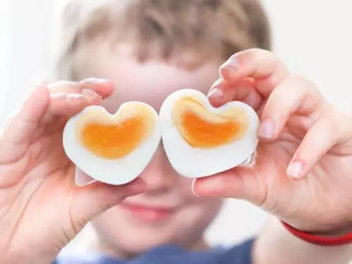 Increased intake of eggs and Dietary Cholesterol may raise risk of CVD linked mortality
