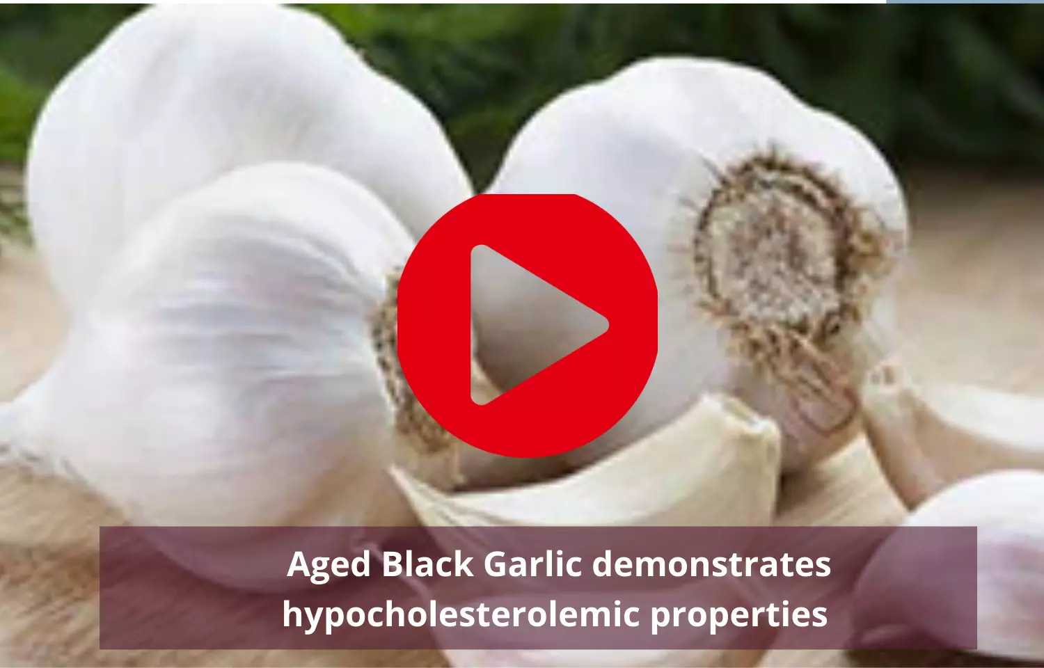 Journal Club -  Black Garlic demonstrates hypocholesterolemic properties when aged