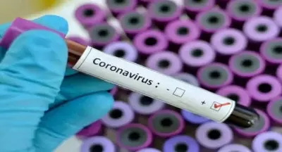 Andhra Pradesh: VIMS to conduct intranasal COVID vaccine trials