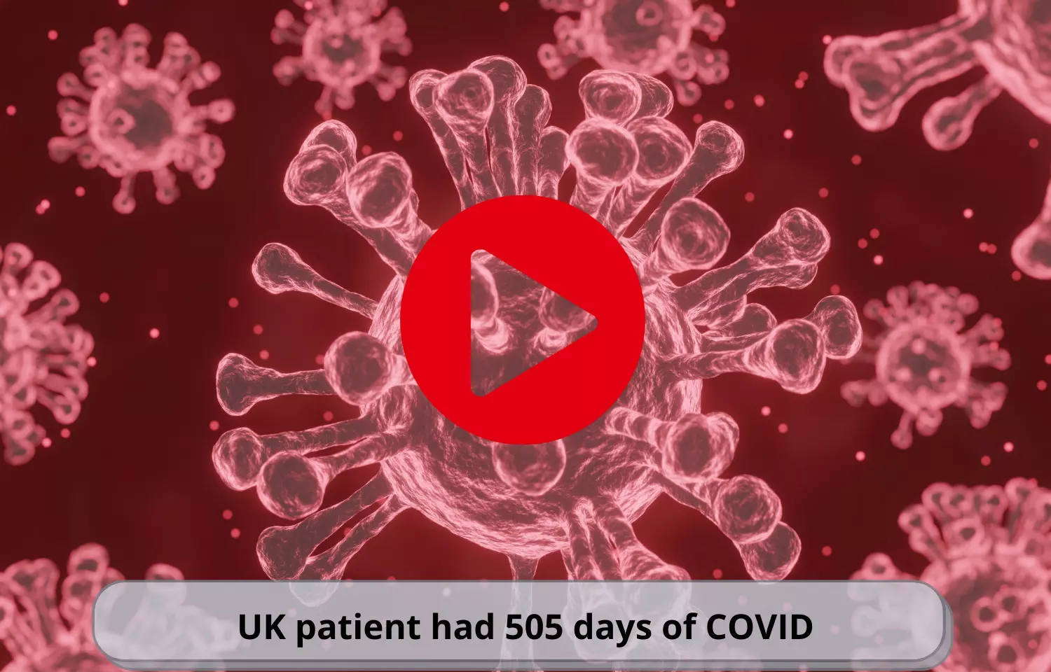 Patient had COVID for 505 days straight: Study