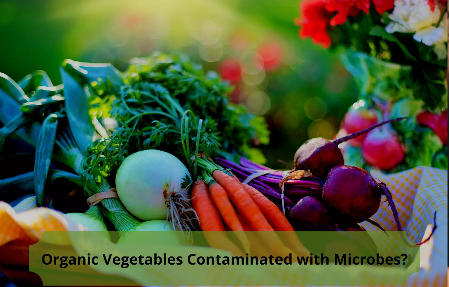Journal Club - Organic Vegetables are Contaminated with Microbes