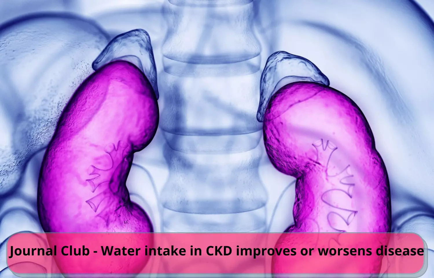 Journal Club - Water intake in CKD improves or worsens disease?
