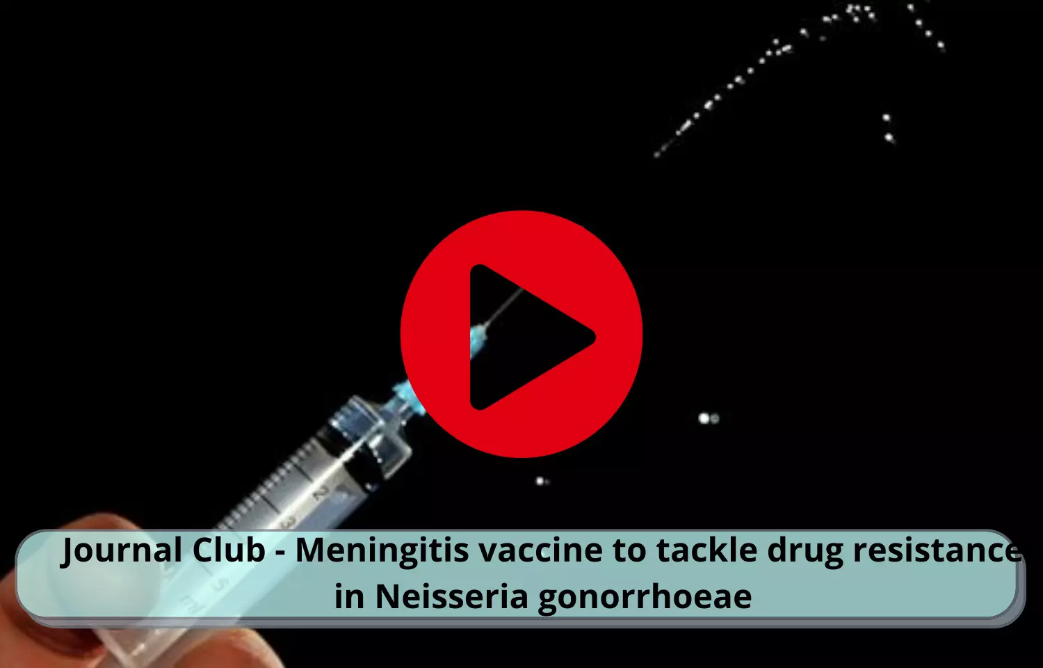 Journal Club - Meningitis vaccine to tackle drug resistance in Neisseria gonorrhoeae
