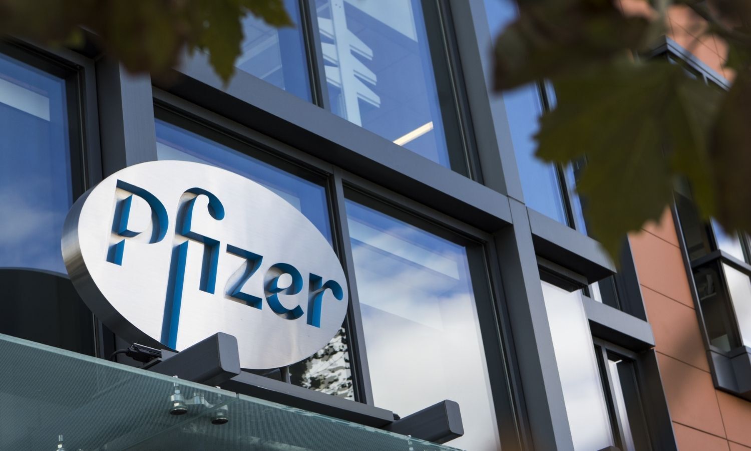 CDSCO Panel Seeks Justification For Pfizer Phase III CT Of 20-Valent ...