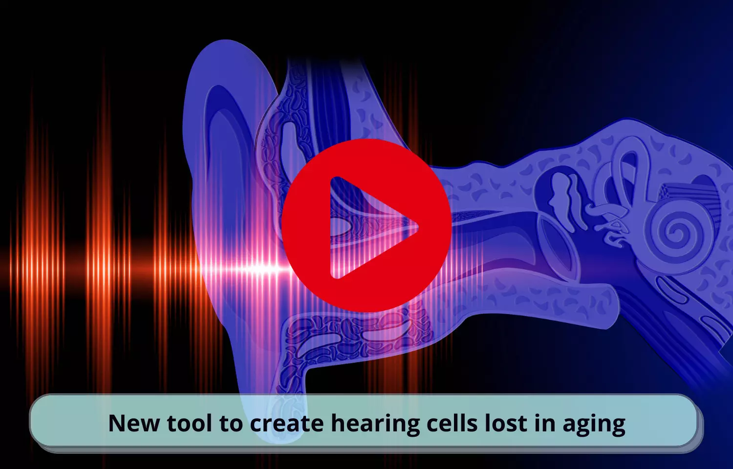 Journal Club - New tool to create hearing cells lost in aging