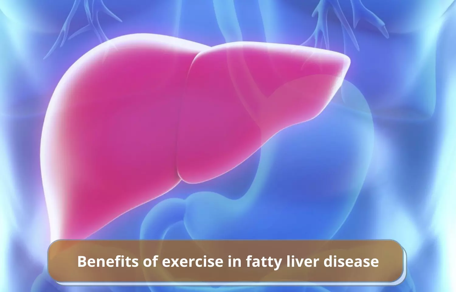 Journal Club - Benefits of exercise in fatty liver disease