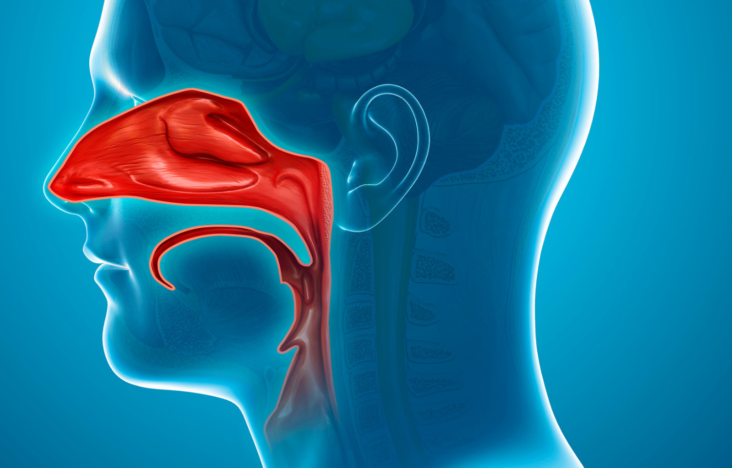 Temperature-controlled RF treatment effective for nasal obstruction ...