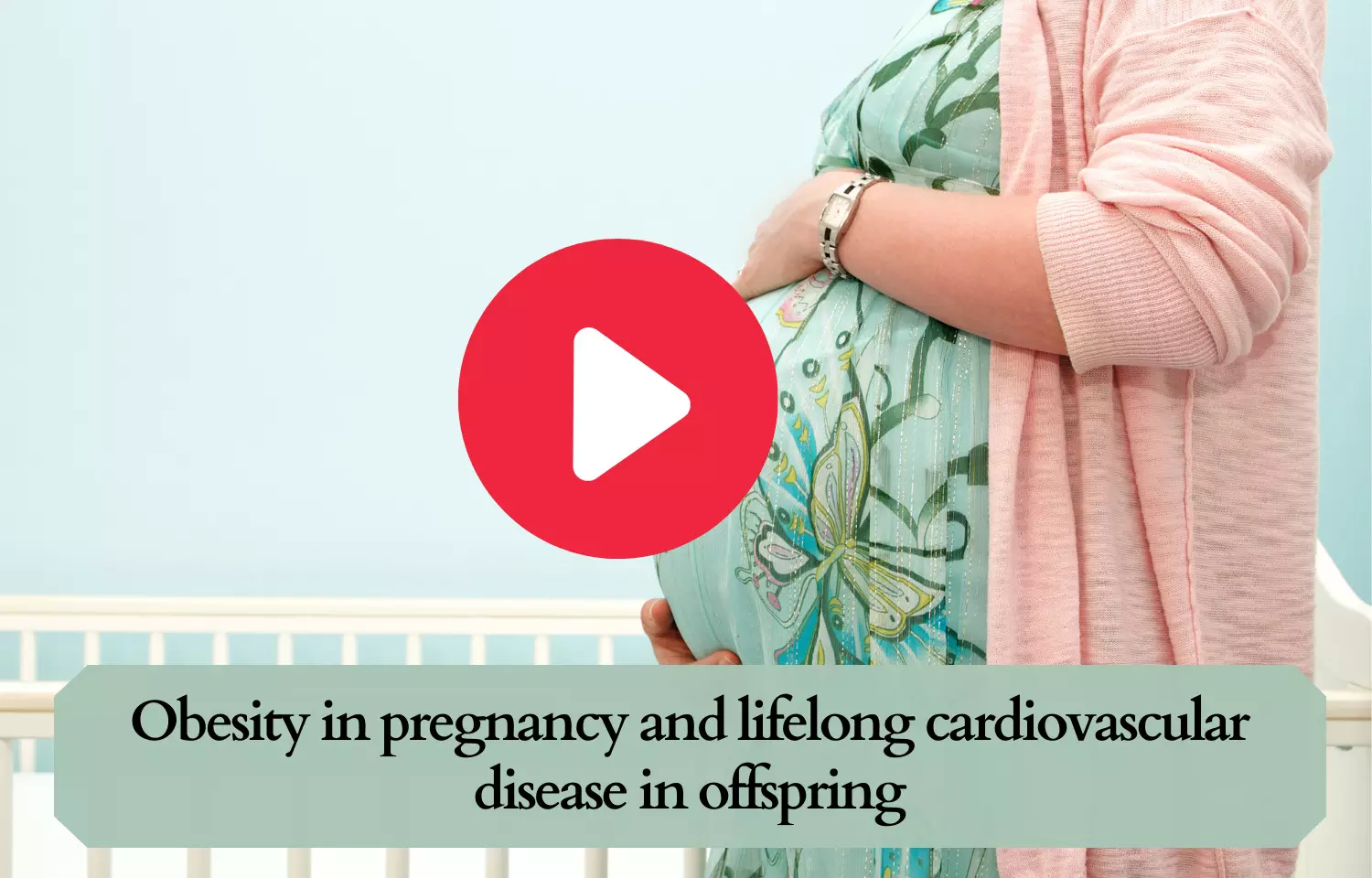 Obesity during pregnancy to cause lifelong cardiovascular disease in offspring