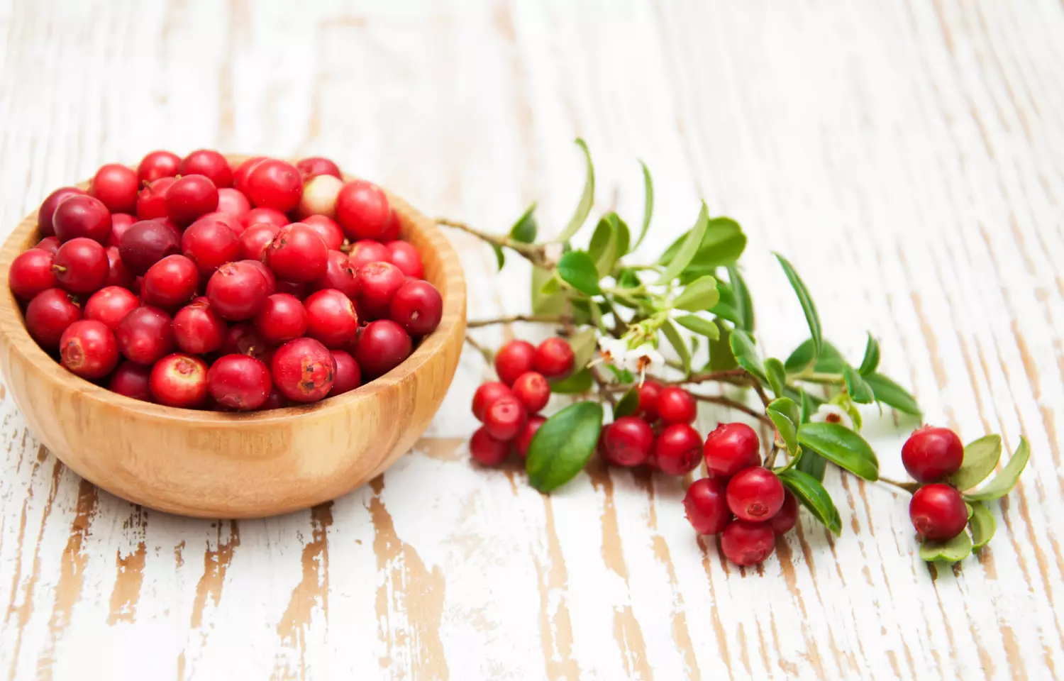 Cranberries consumption could improve memory and brain function