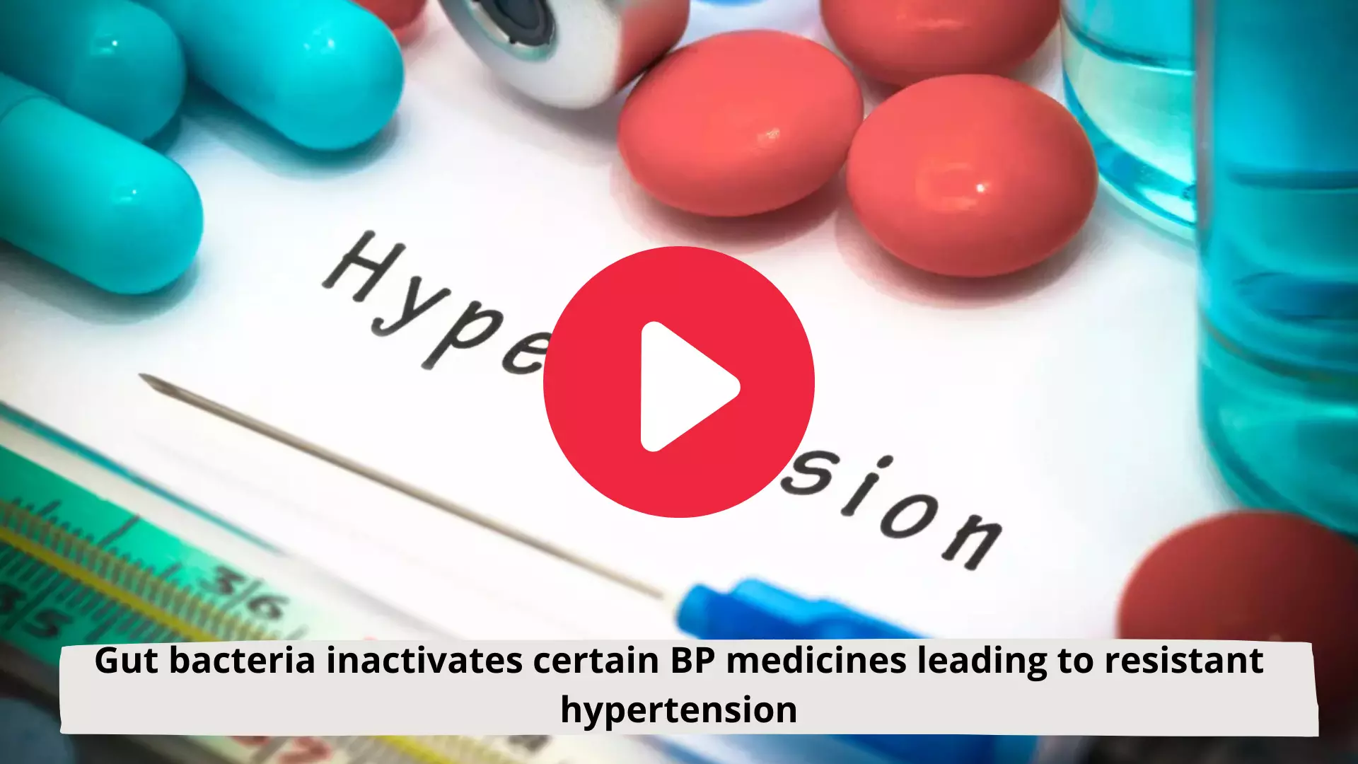 Gut bacteria inactivates certain BP medicines leading to resistant hypertension