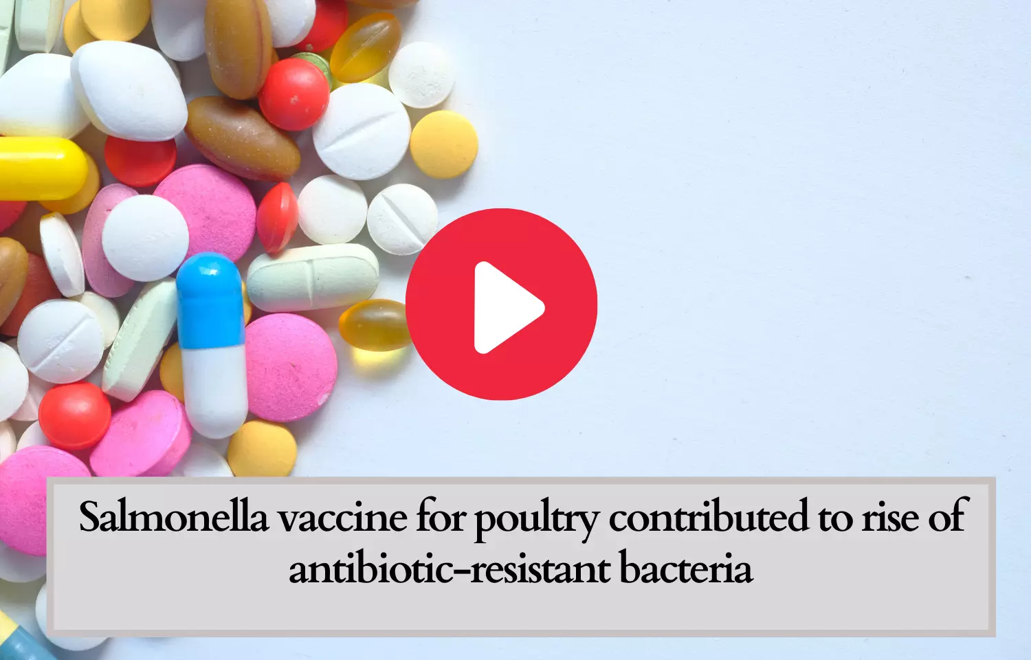 Salmonella vaccine for poultry contributed to rise of antibiotic-resistant bacteria