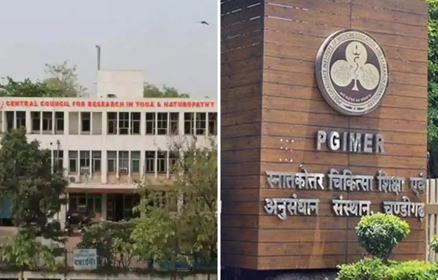 CCRYN, PGIMER Chandigarh collaborate to promote Yoga through joint research projects