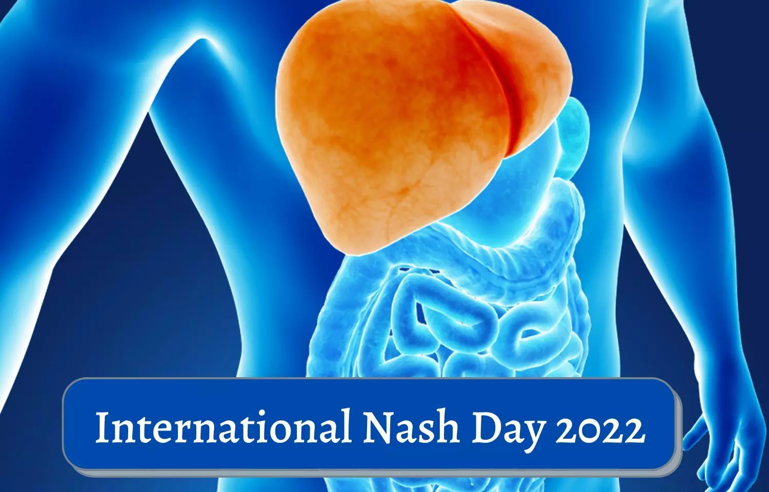Anti-diabetic drug and NASH: Current Options in 2022