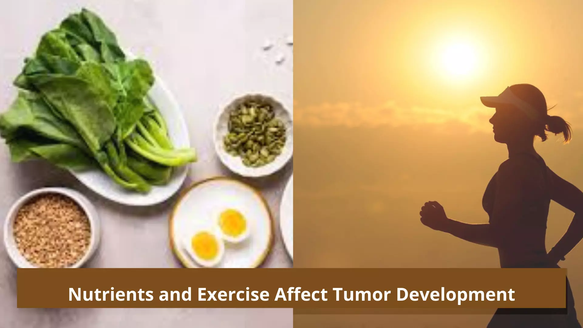 Nutrients and Exercise Affect Tumor Development