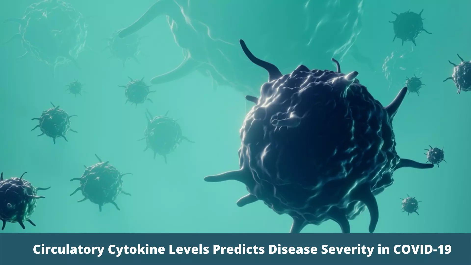 Circulatory Cytokine Levels Predicts Disease Severity in COVID-19