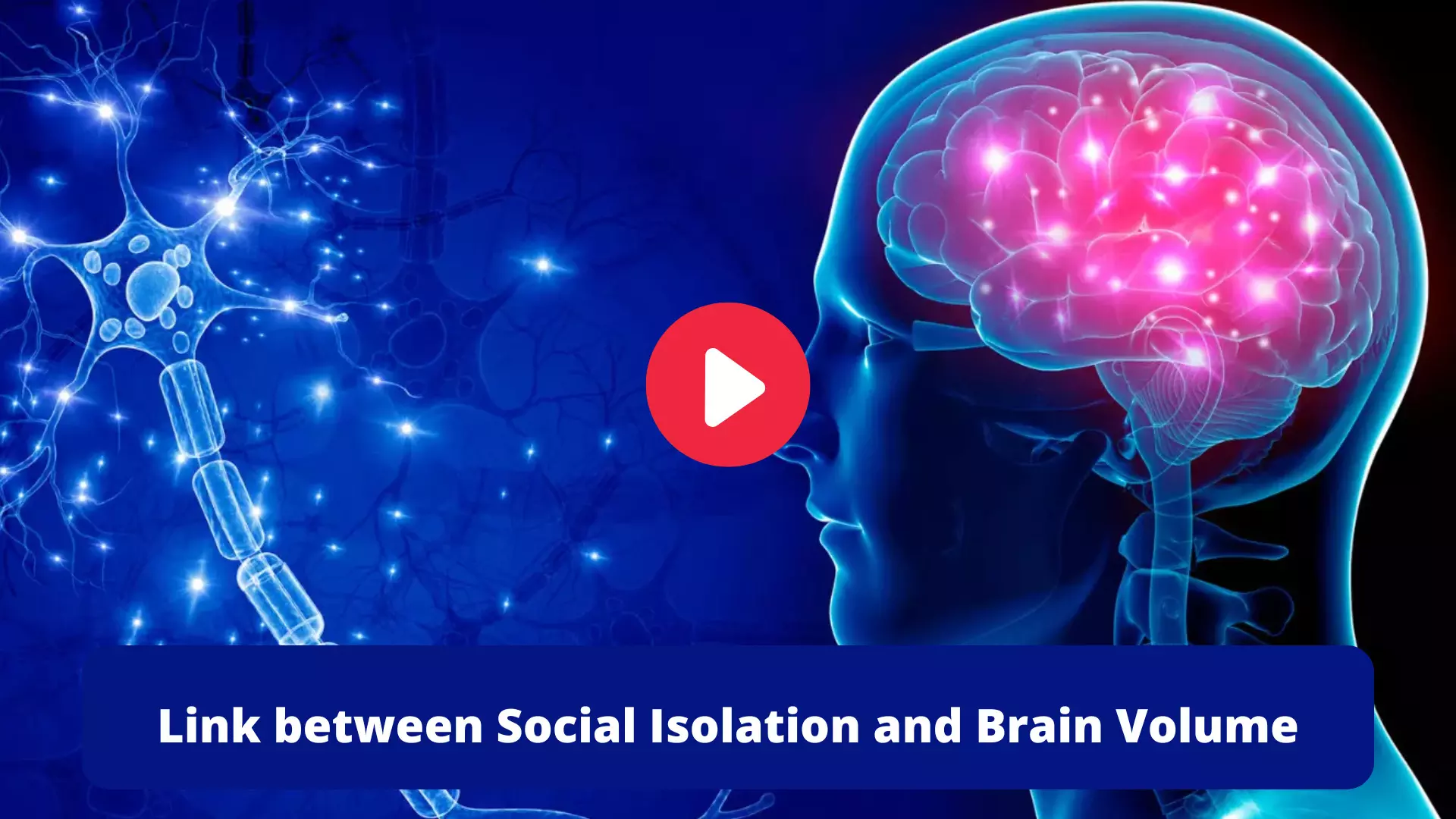 Link between Social Isolation and Brain Volume