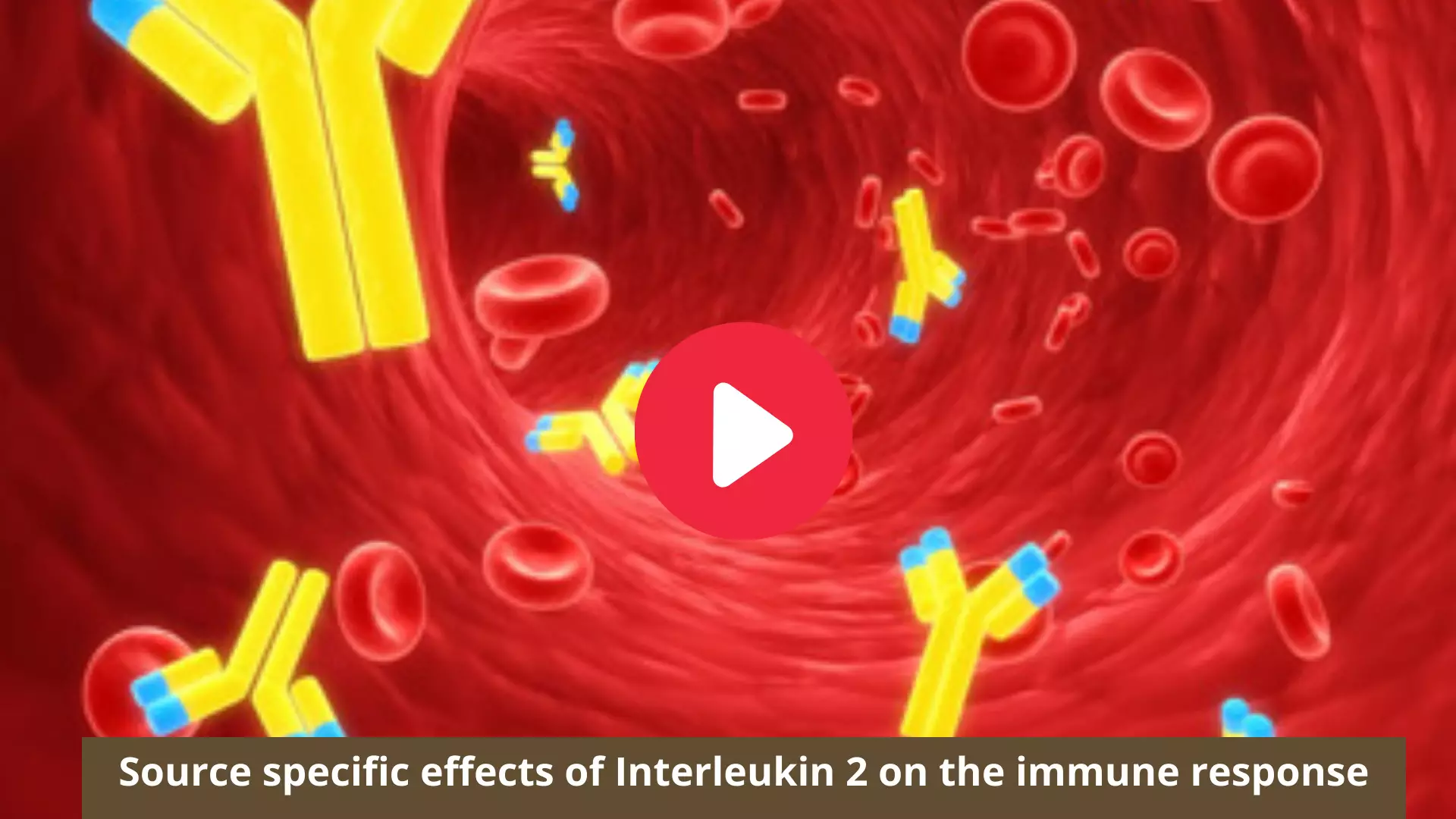 Source specific effects of Interleukin 2 on the immune response