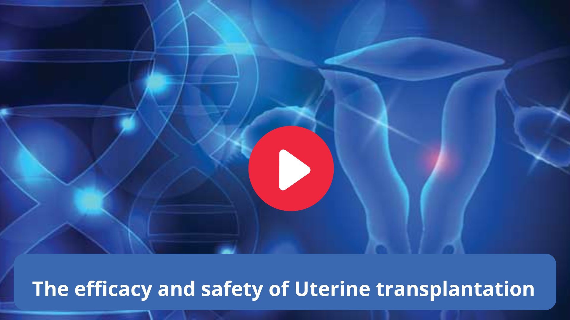 The Efficacy And Safety Of Uterine Transplantation