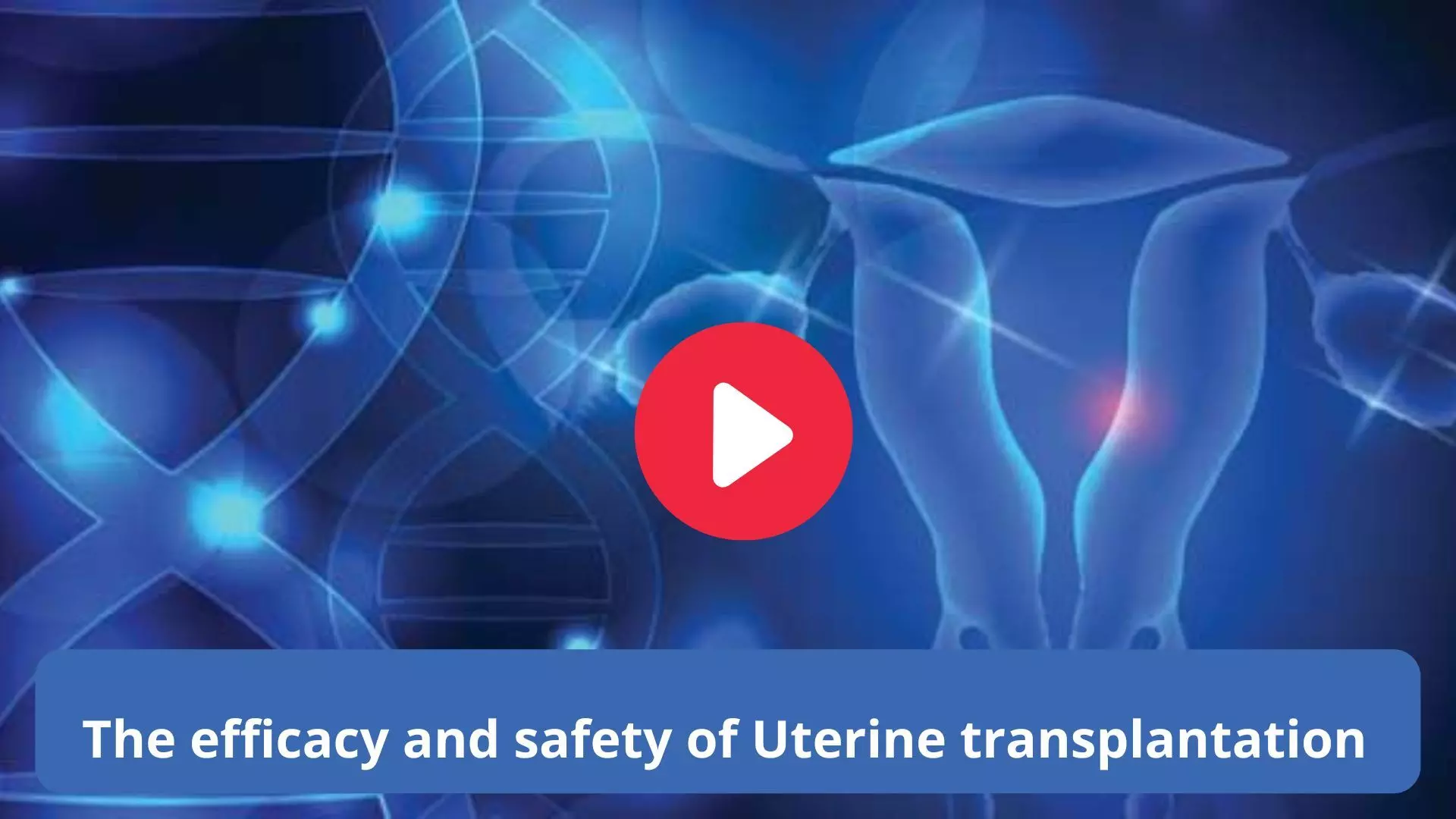 The efficacy and safety of Uterine transplantation