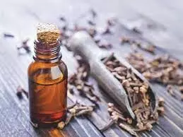 Clove leaf oil as good as autoclaving for disinfection of dental equipment, finds study