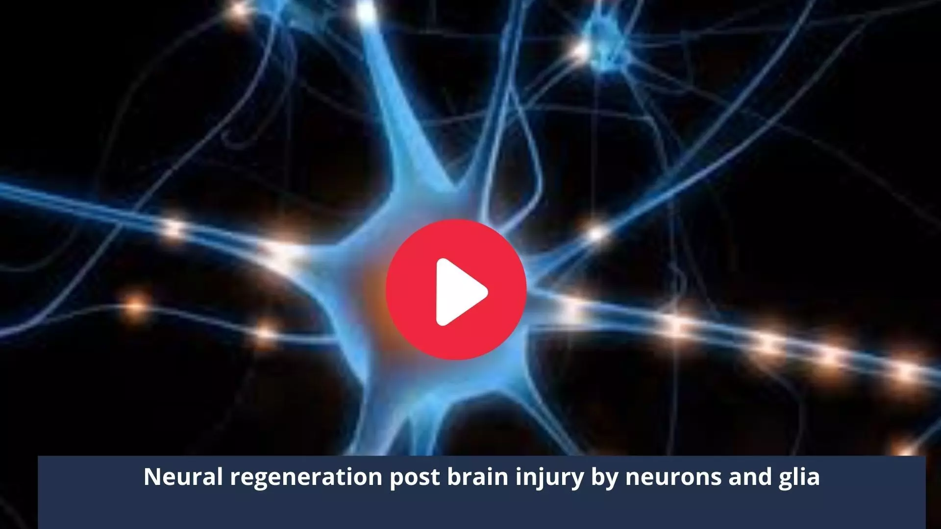 Neural regeneration post brain injury by neurons and glia
