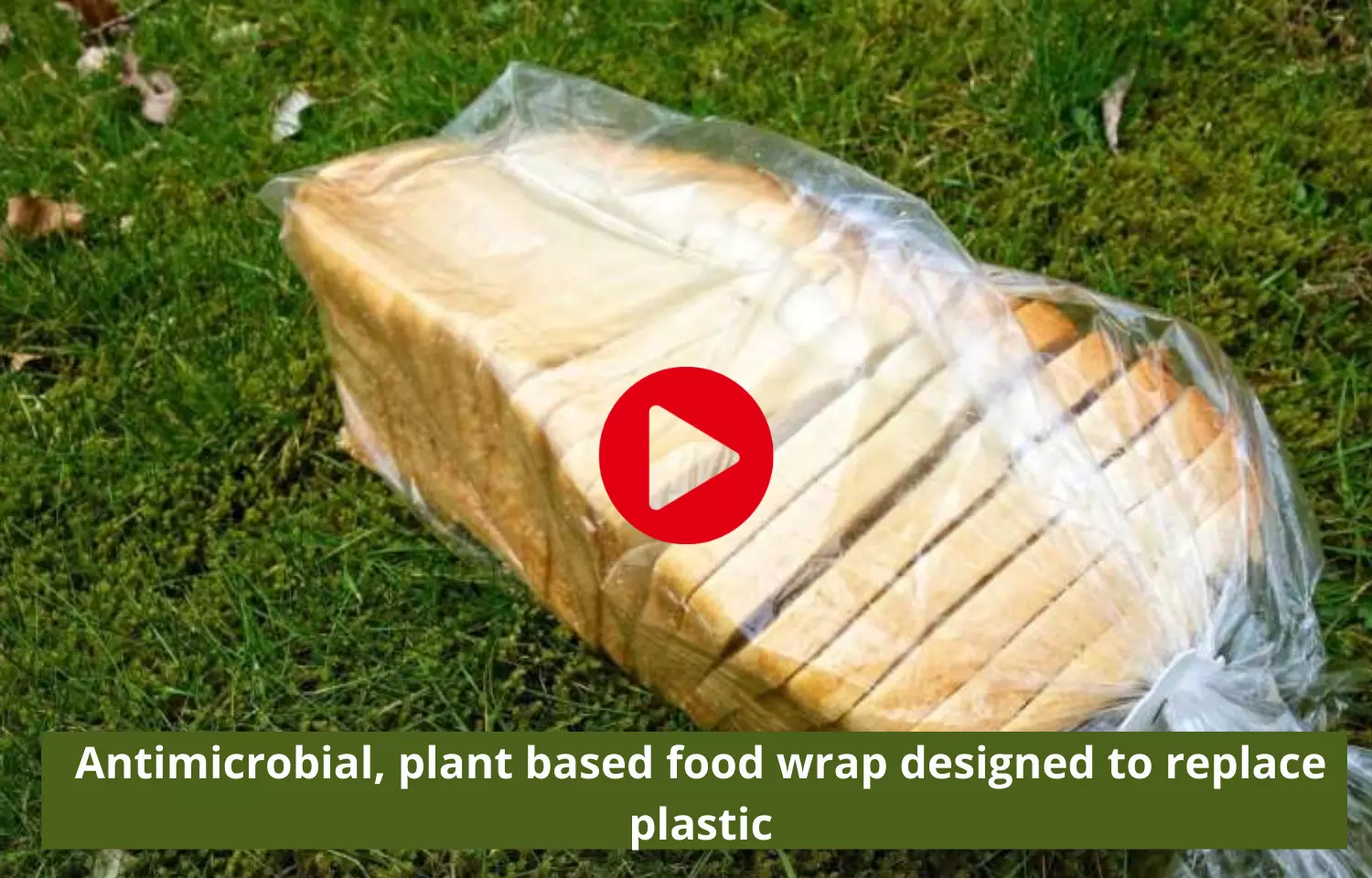 Antimicrobial, plant based food wrap designed to replace plastic