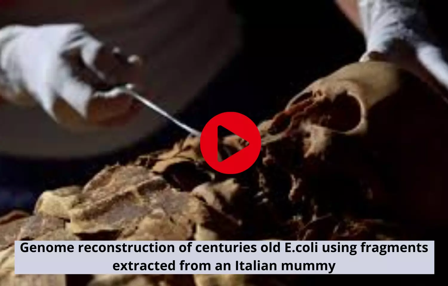 Genome reconstruction of centuries old E.coli using fragments extracted from an Italian mummy