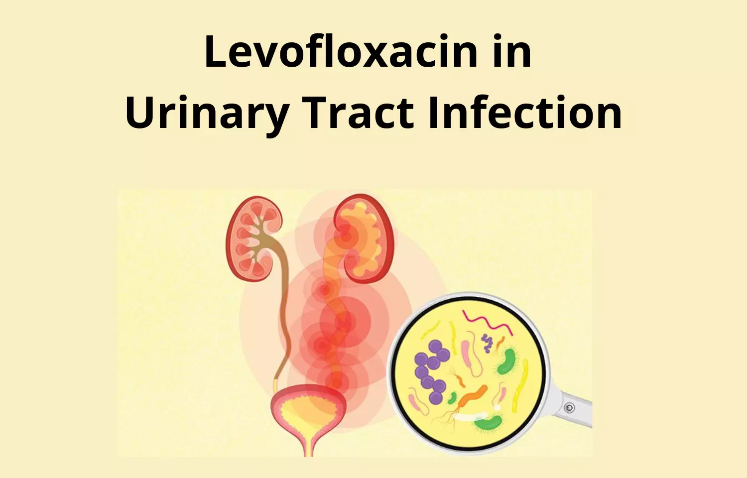 Analyzing the Role of Levofloxacin in Urinary Tract Infections-A review