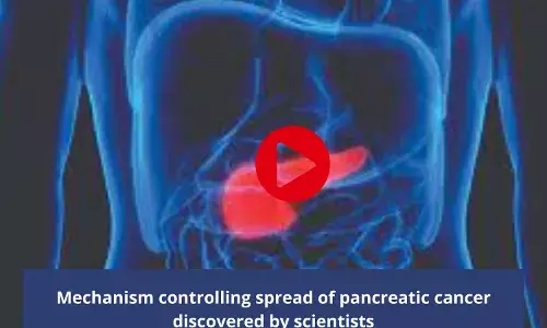 Mechanism controlling spread of pancreatic cancer discovered by scientists
