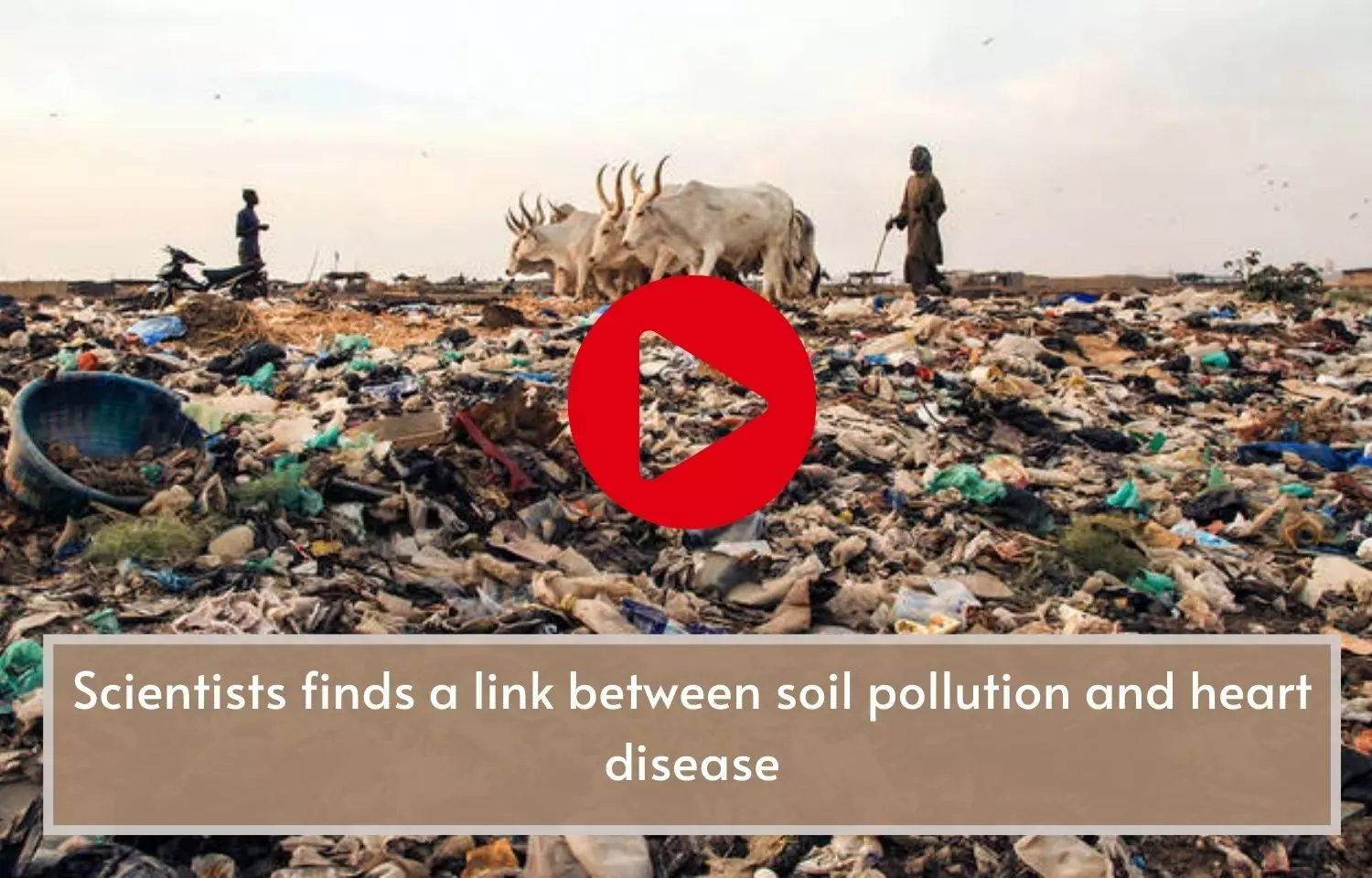 Scientists finds a link between soil pollution and heart disease