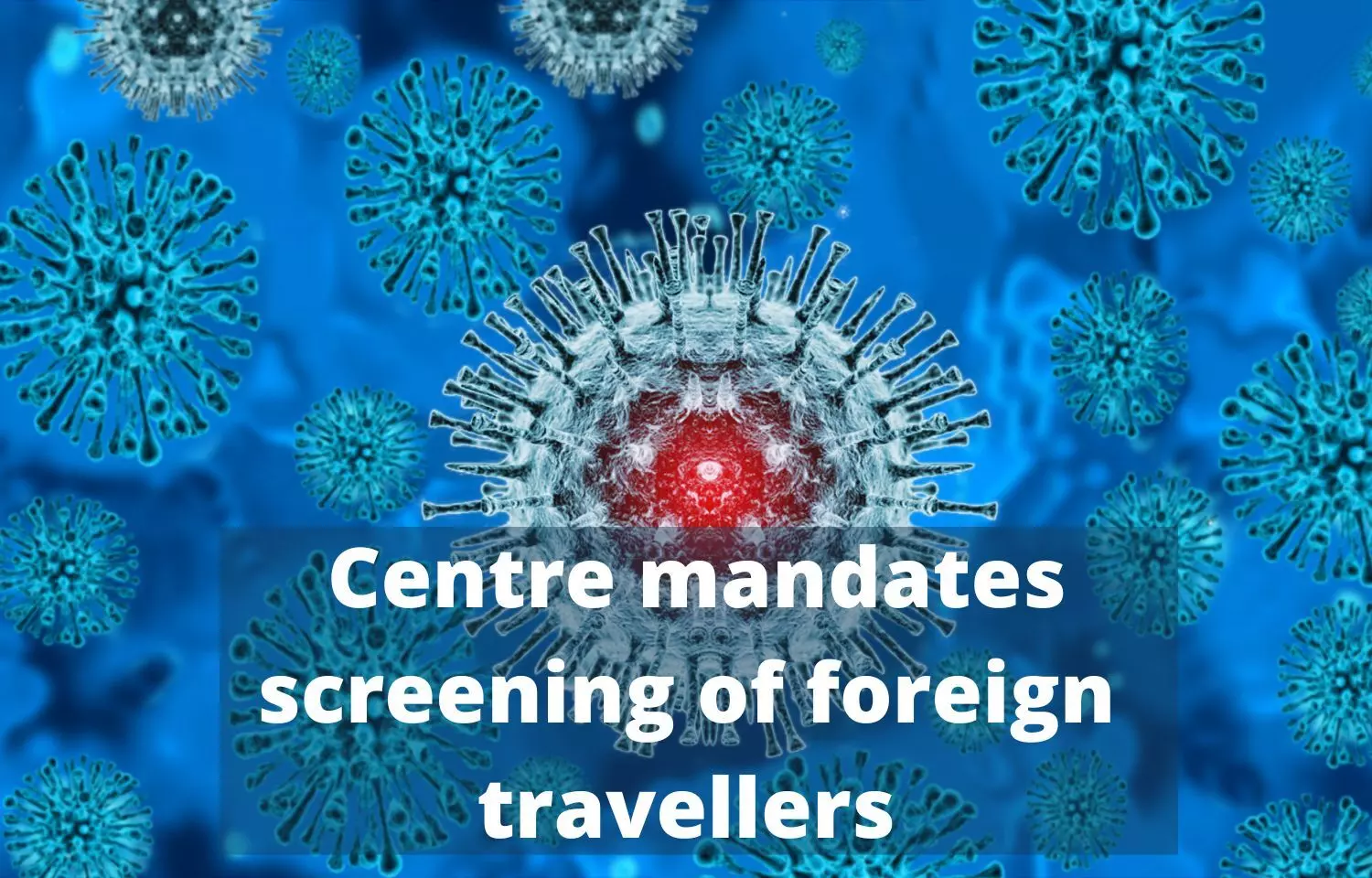 After second monkey pox case Centre mandates screening of foreign travellers
