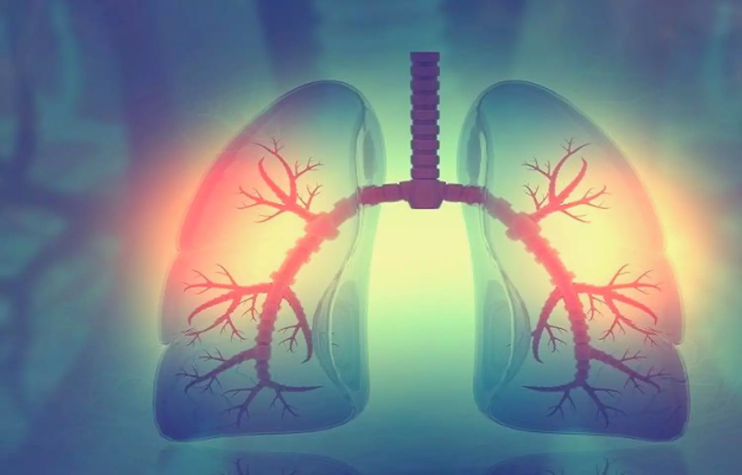 Narrower airways in women increase their risk of COPD