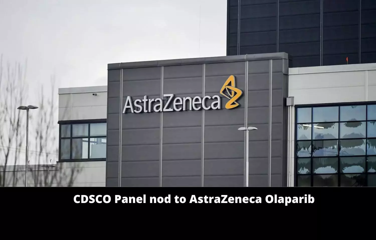 CDSCO Panel nod to AstraZeneca Olaparib for BRCA Mutated HER2 Negative Breast Cancer
