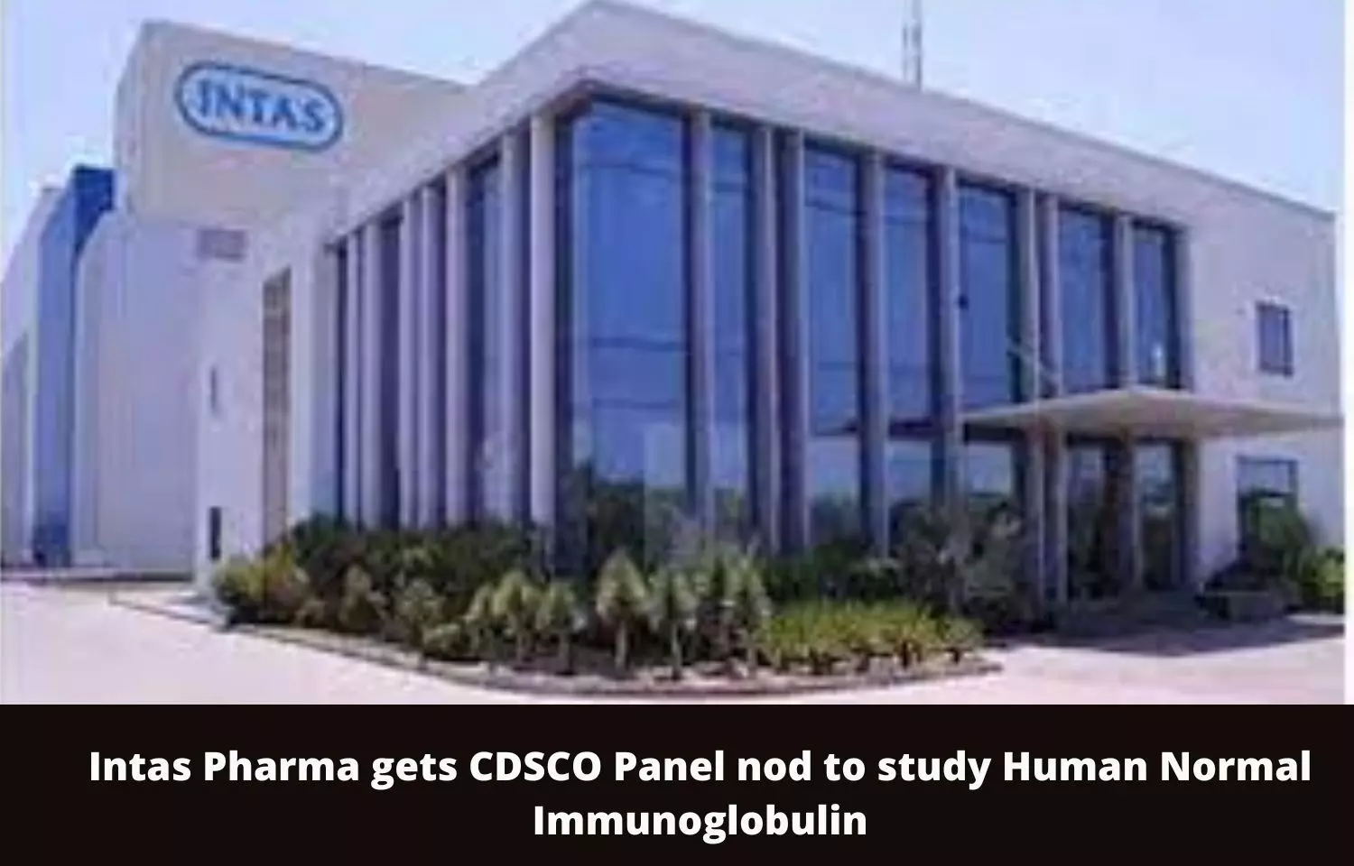 Intas Pharma bags CDSCO panel nod to study Human Normal Immunoglobulin