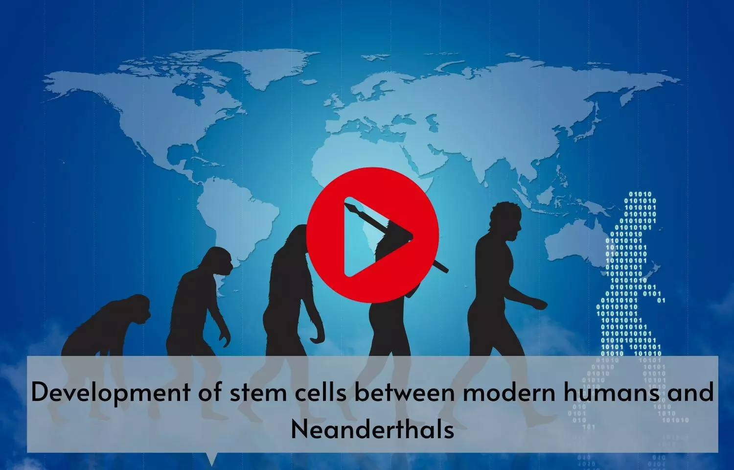 Development of stem cells between modern humans and Neanderthals