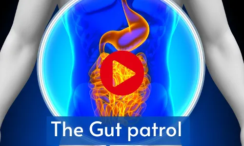The Gut patrol