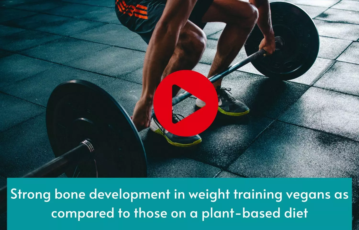 Strong bone development in weight training vegans as compared to those on a plant-based diet