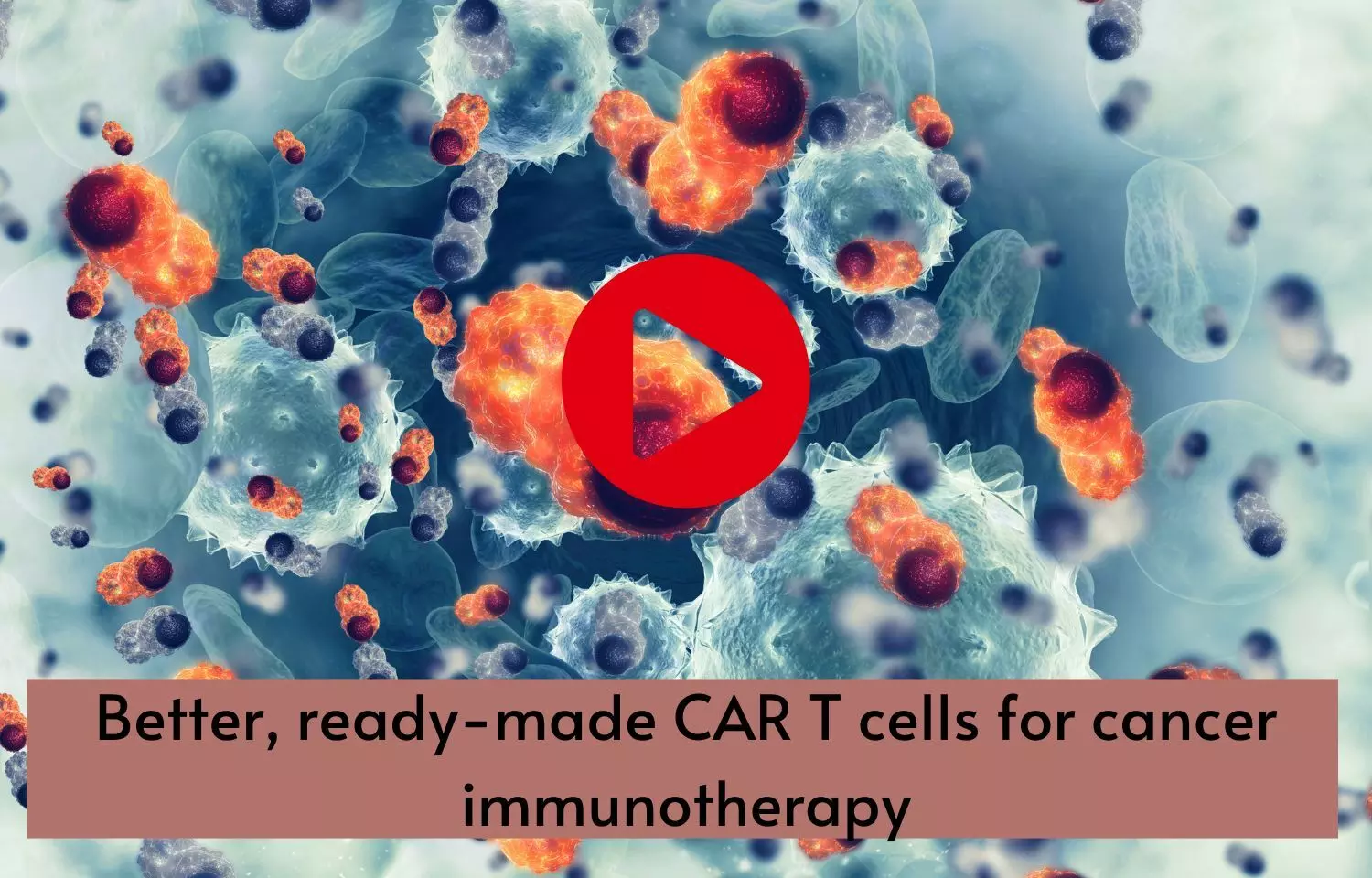 Better, ready-made CAR T cells for cancer immunotherapy