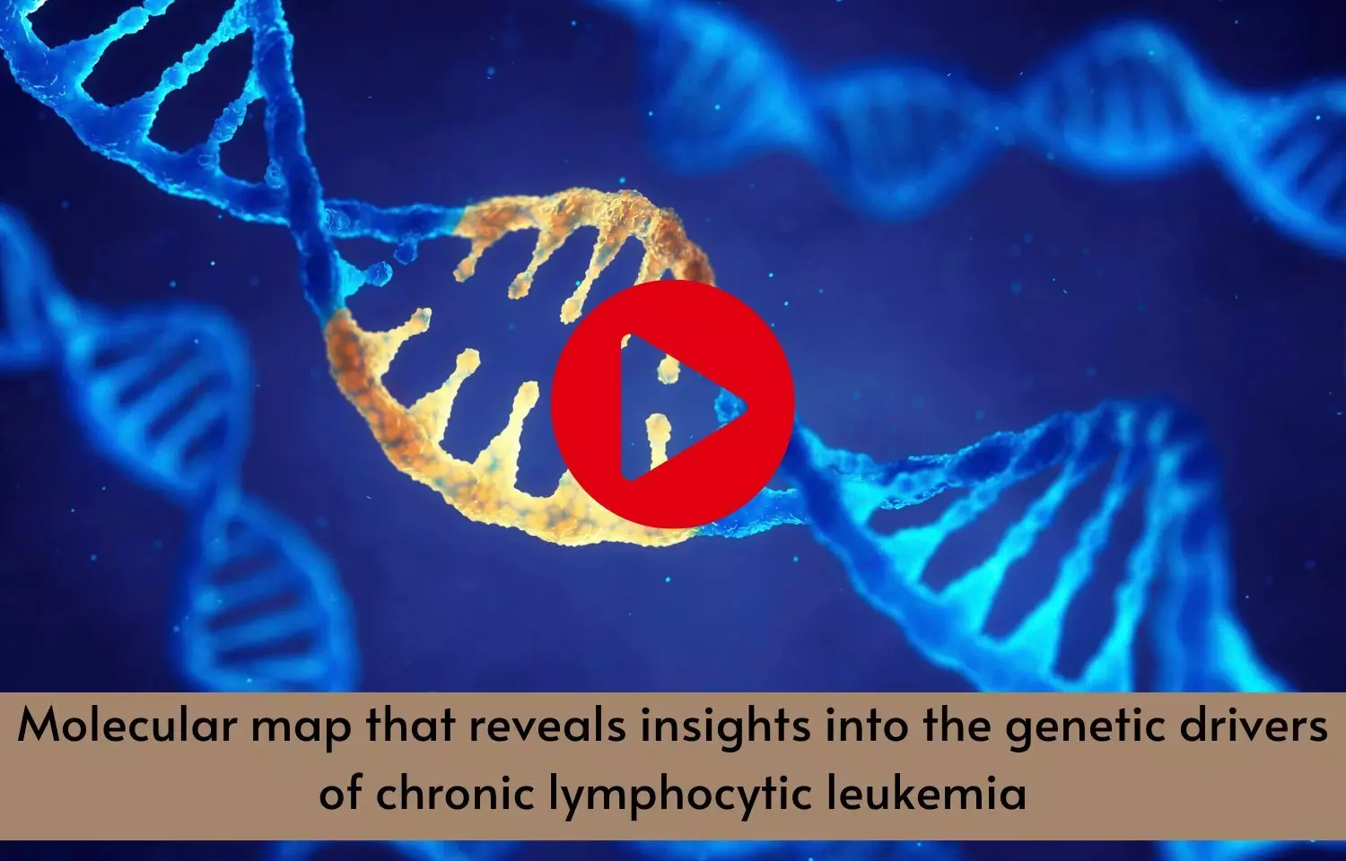 Molecular map that reveals insights into the genetic drivers of chronic lymphocytic leukemia