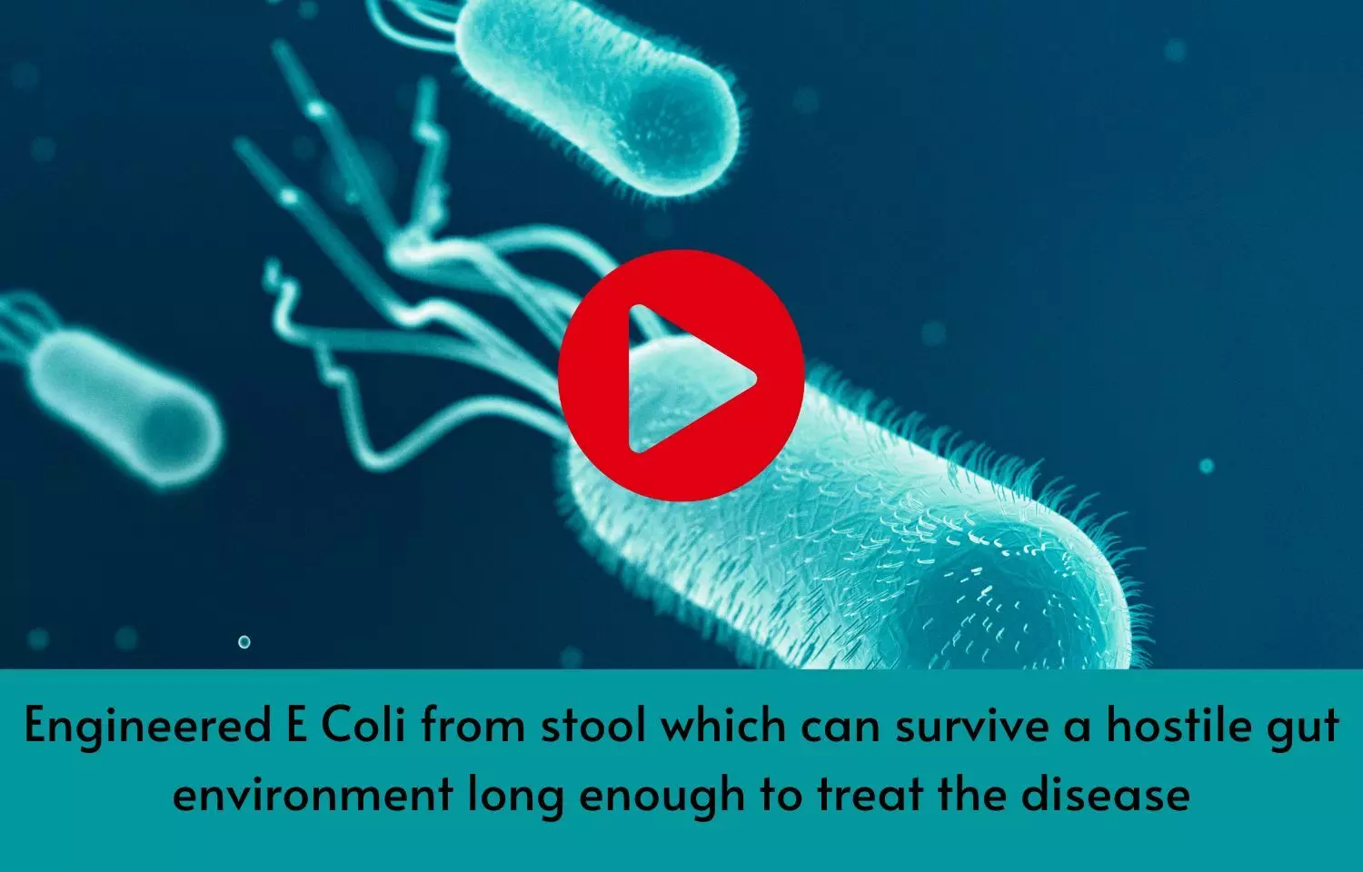 Engineered E Coli from stool which can survive a hostile gut environment long enough to treat the disease