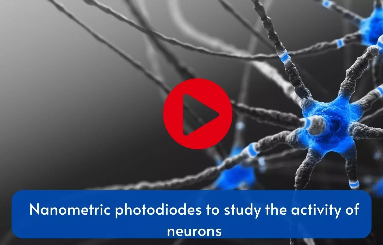 Nanometric photodiodes to study the activity of neurons