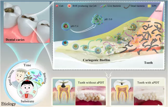 Cariogenic dental biofilm is highly present in orthodontic patients