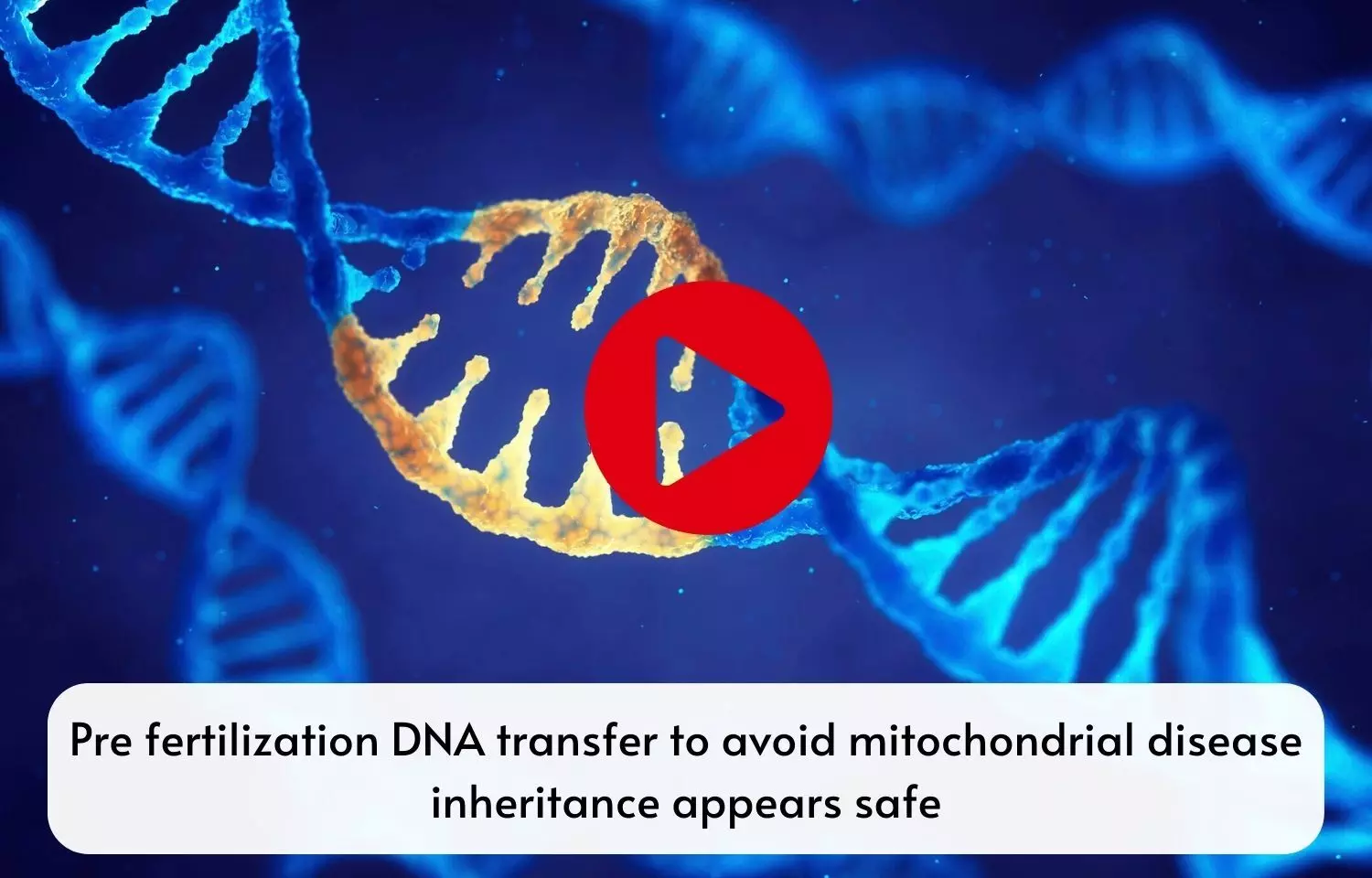 Pre fertilization DNA transfer to avoid mitochondrial disease inheritance appears safe