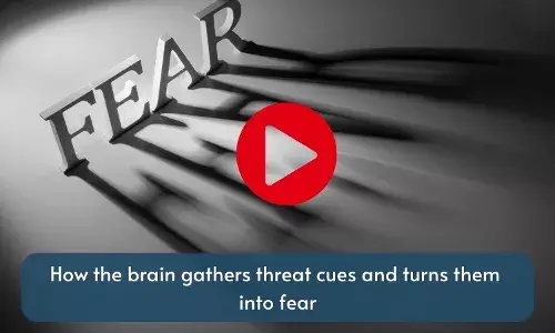 How the brain gathers threat cues and turns them into fear
