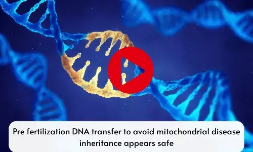 Pre fertilization DNA transfer to avoid mitochondrial disease inheritance appears safe