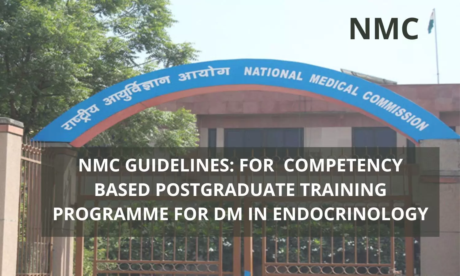 NMC Guidelines For Competency-Based Training Programme For DM Endocrinology