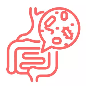 Gut Dysbiosis 