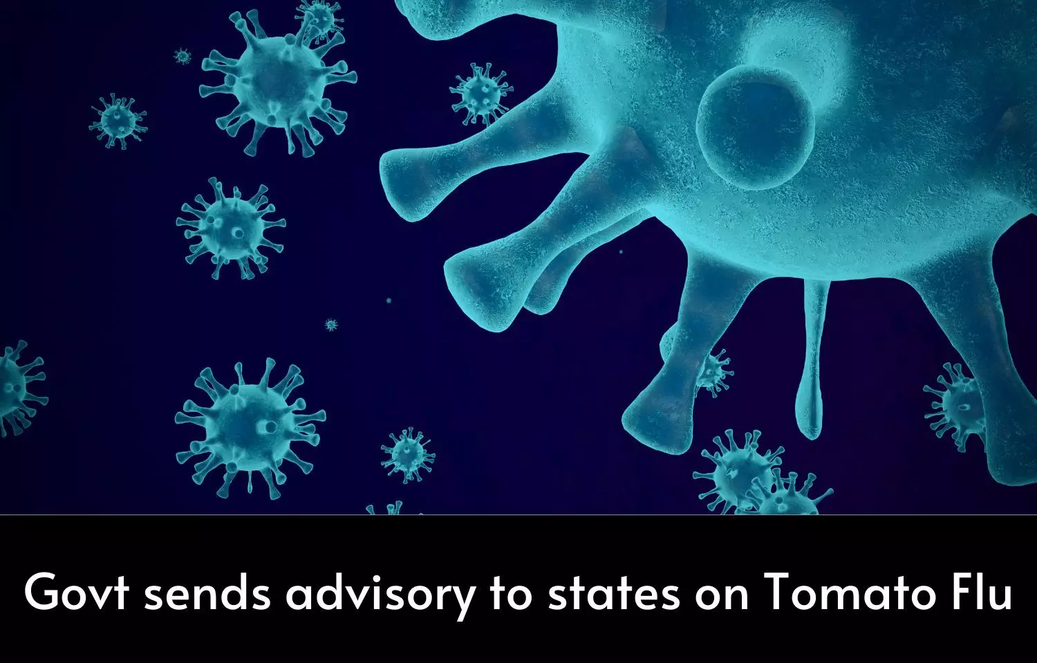 Govt issues Tomato flu advisory to states