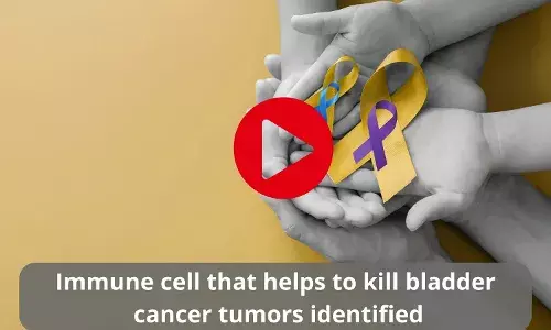 Immune cell that helps to kill bladder cancer tumors identified