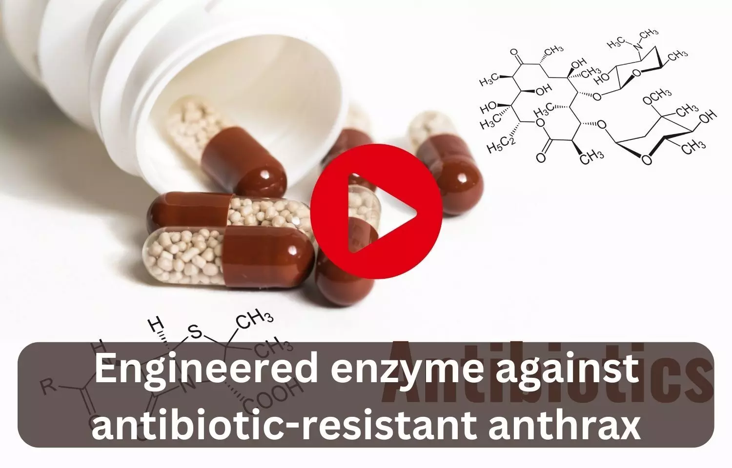 Engineered enzyme against antibiotic-resistant anthrax
